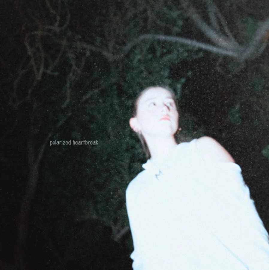 Polarized Heartbreak cover art